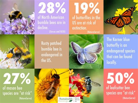 The pollination crisis in the Philippines .